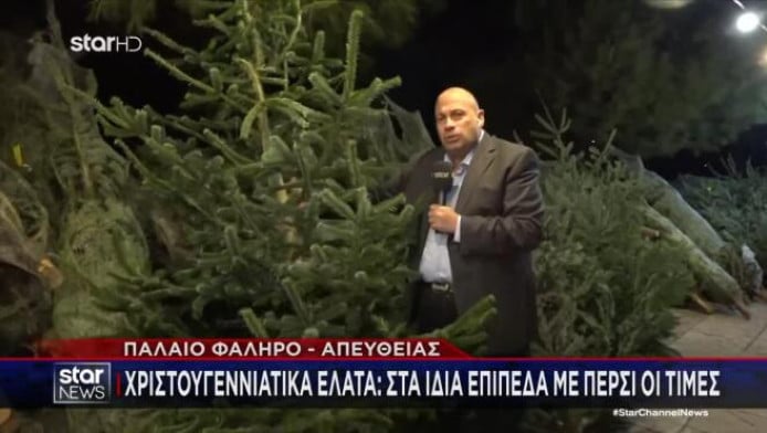 Τελευταία ευκαιρία για Χριστουγεννιάτικα έλατα: Ποιες είναι οι τιμές φέτος;