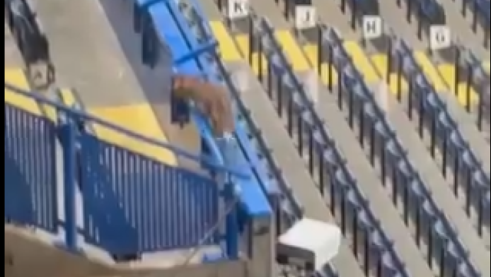 Απίστευτο! Αλεπού εμφανίστηκε στις κερκίδες αγώνα του Champions League (Vd)