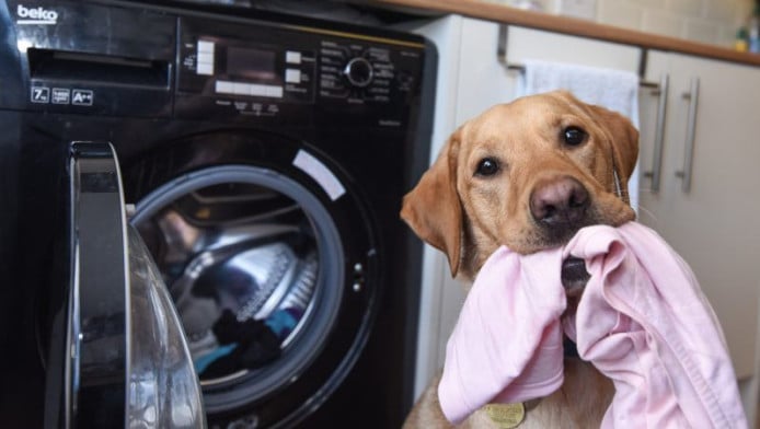 Νοικοκύρηδες, προσοχή! Γιατί δεν πρέπει να στεγνώνουν ρούχα στο καλοριφέρ