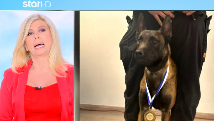 Θλίψη: Έριξαν φόλα στον Echo, τον διάσημο σκύλο έρευνας και διάσωσης