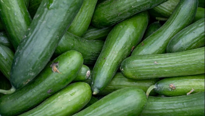  Μην πετάς τις φλούδες από το αγγούρι - Το μυστικό που δεν ήξερες