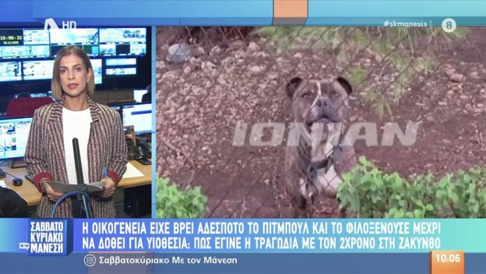 Πώς έγινε η τραγωδία με τον 2χρονο και το πίτμπουλ - Τραγική ειρωνεία