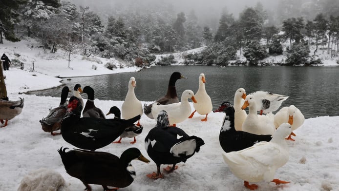 Έκτακτο δελτίο καιρού: Κύμα ψύχους από το απόγευμα - Πού θα χιονίσει