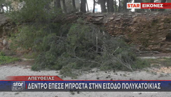 Οι θυελλώδεις άνεμοι ξερίζωσαν μεγάλα δέντρα στην Αθήνα! (ΒΙΝΤΕΟ)