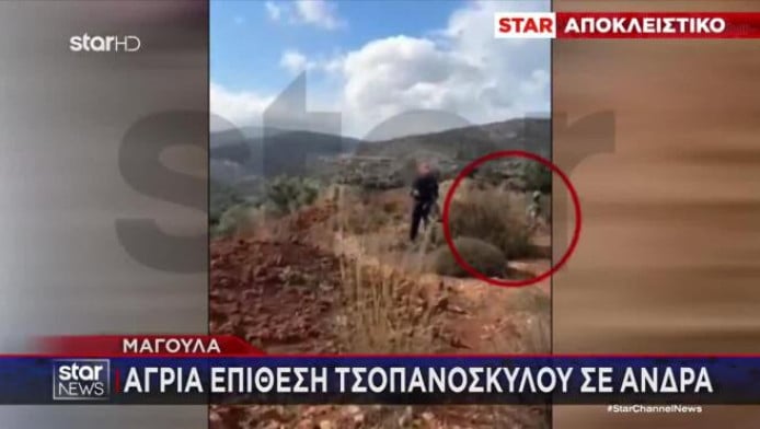 Μαγούλα: Η στιγμή που τσοπανόσκυλο επιτίθεται σε άνδρα - Bίντεο-σοκ