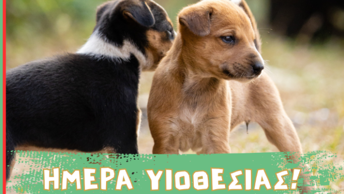 Παγκόσμια Ημέρα Αδέσποτων Ζώων: Το Φεστιβάλ στο Πεδίον του Άρεως 