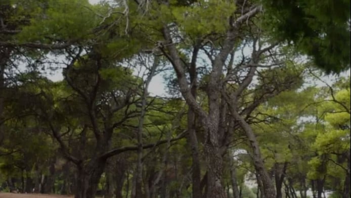 Ποια περιοχή της Αττικής λεγόταν Μαγκουφάνα; Πού βρίσκεται - Τι είναι εκεί 