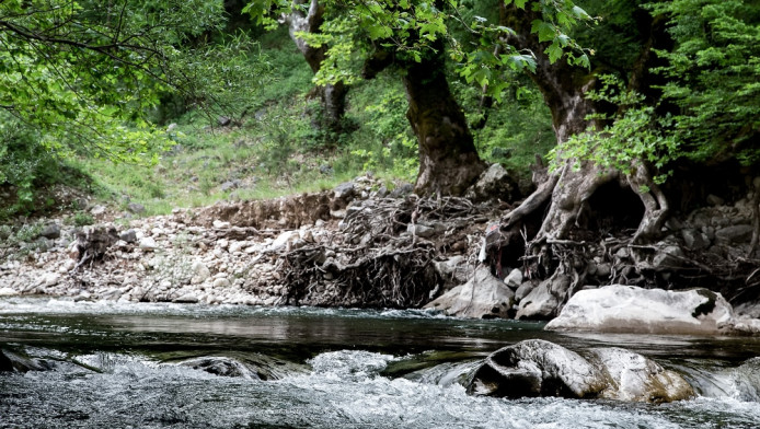 Στα Τρίκαλα συναντάς κάτι που συμβαίνει σπάνια στην Ελλάδα!