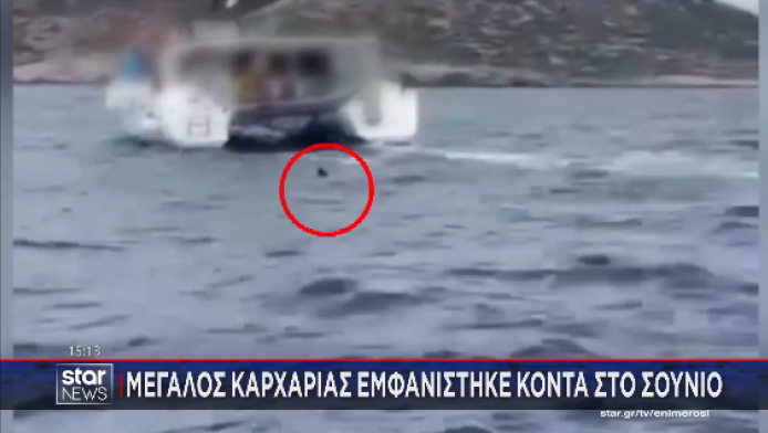 Αναστάτωση από το βίντεο με καρχαρία μήκους 3 μέτρων σε Ανάβυσσο και Σούνιο