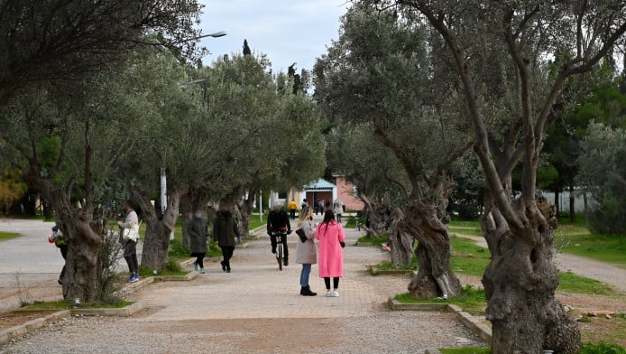 5 τοποθεσίες εντός Αττικής που θα σε κάνουν να ξεχάσεις πως είσαι στην πόλη