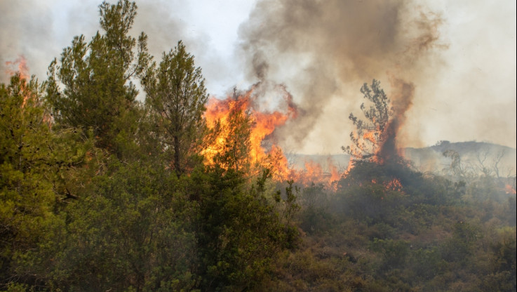 Πυρκαγιές: Νέο μέτωπο στην Κύμη - Αναζωπυρώσεις σε Ρόδο, Κάρυστο - Βελτίωση στη Μαγνησία - Σε ύφεση Κέρκυρα και Αίγιο