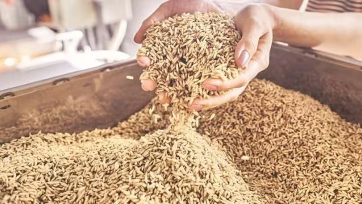 Η Ινδία προμήθευσε 47.500 τόνους σιτάρι στο Αφγανιστάν!