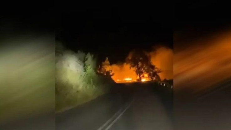 ΒΙΝΤΕΟ-ΣΟΚ από Κοζάνη - "Λαμπάδιασε" αυτοκίνητο και οι φλόγες έφτασαν στα δέντρα