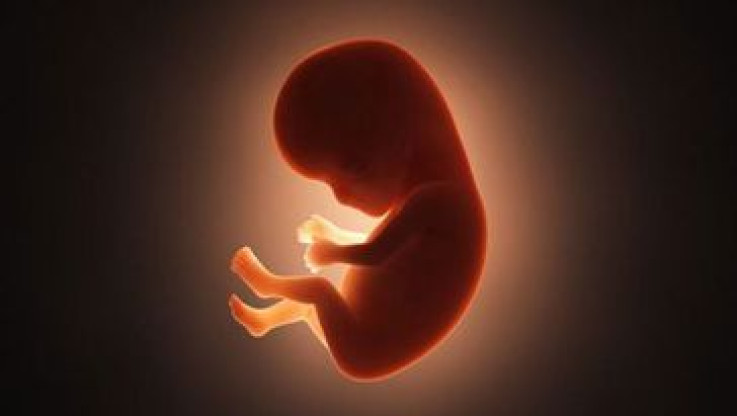 Απίστευτο - Επιστήμονες ανέπτυξαν έμβρυο που μοιάζει ανθρώπινο χωρίς σπέρμα και ωάριο!