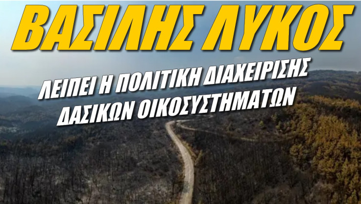 Έλληνας ειδικός για τις πυρκαγιές! Χρειαζόμαστε επιχειρησιακά σχέδια δράσης μέσα στο δάσος