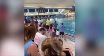 Επιστολή Παναθηναϊκού σε Βρούτση, ΚΟΕ και Δήμαρχο Χίου (ΒΙΝΤΕΟ)