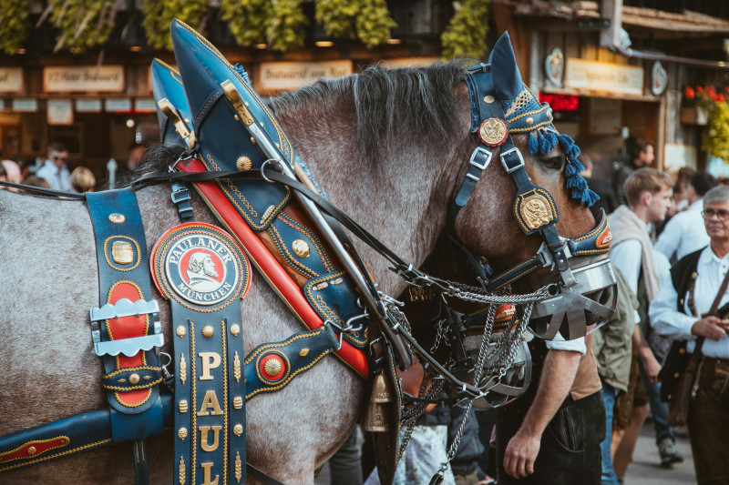 Να ρέει η μπύρα! Το Oktoberfest 2025 ανοίγει τις πύλες του
