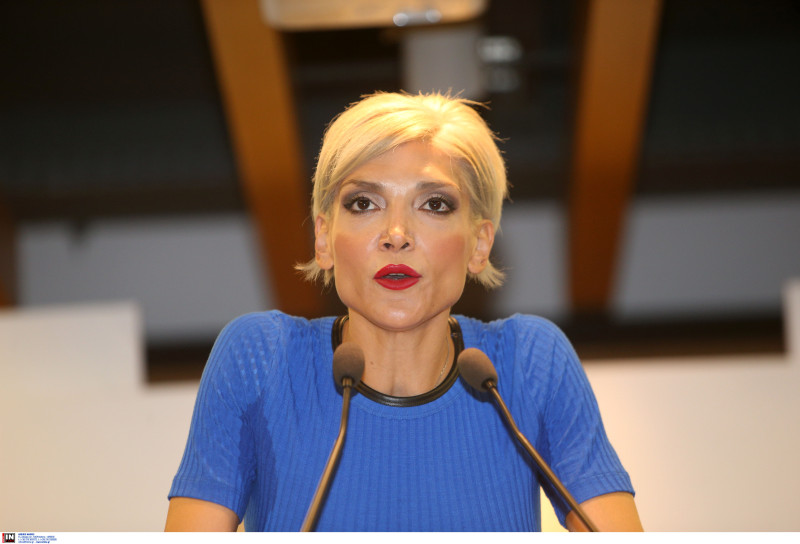 Τσιλιγκίρη για ΣΕΦ: “Έχουμε στείλει μελέτες από το 2020 – Πενιχρά χρήματα”