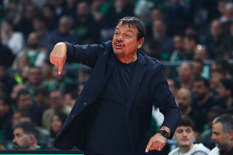 Η ατάκα-φωτιά του Κοτζιά για Φρανσίσκο και το «πράσινο» υπονοούμενο!