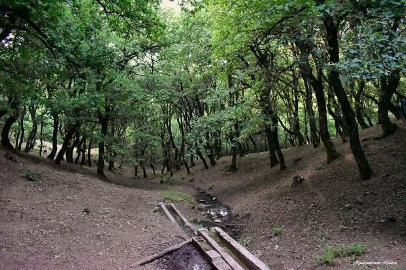 5ος Αγώνας Ipsilantis Trail