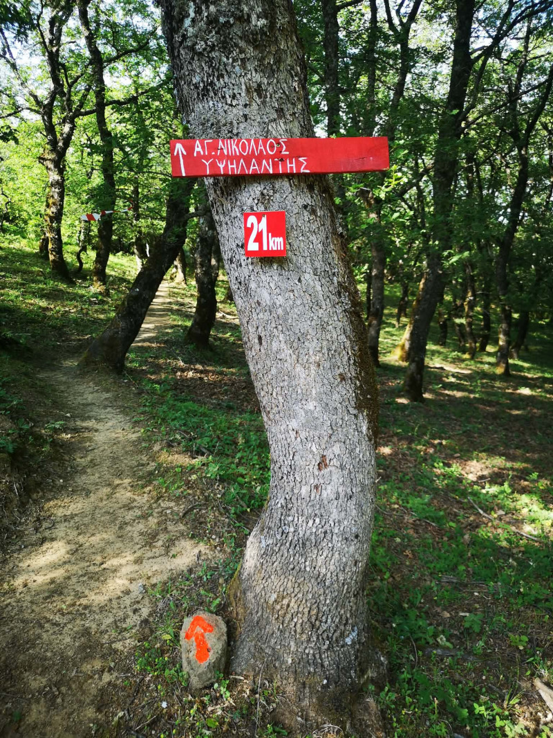 5ος Αγώνας Ipsilantis Trail